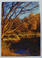 Осенний пруд - Золотое руно.jpg