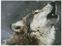 Один от Ющук(РМ-дмс).jpg