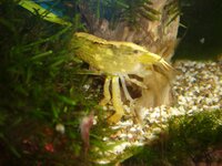 Изображение 194.jpg