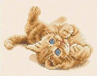 ищу dmc BK904.jpg