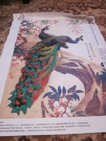 Изображение 1573.jpg