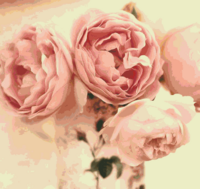 Peony Free 2010 Christmas.png