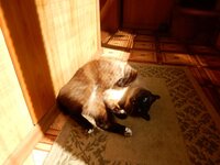 2014-06-24 10-46-24.jpg