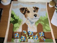 CIMG0996 (1024x768).jpg