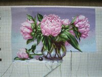 Пионы 1 ноября.JPG