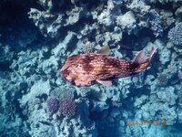 отдых 2014 май 812.jpg