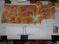 Изображение 149.jpg