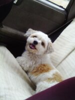 IMAG4332 [Разрешение рабочего стола].JPG