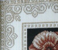 01_роза песков 03.jpg