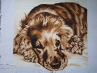 кокер 6 апреля.jpg