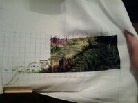 2012-12-23 15.31.29.jpg