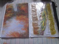 Изображение 308.jpg