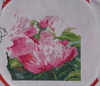 Изображение 287883.jpg