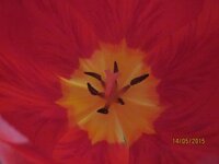 Изображение 2616.jpg