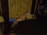 IMAG0002 [Разрешение рабочего стола].JPG