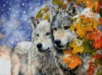 снежные волки.jpg