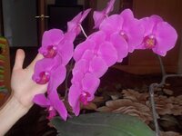 Изображение 025.jpg