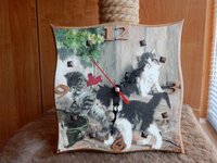 2016-02-04 13-36-26.jpg