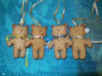 новые котики 001.jpg