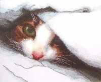 Чаривна мить - А-086.jpg