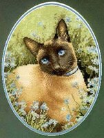 jssc305_Siamese Cat.jpg