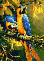 Kustom Krafts _99447_Попугаи Ара.jpg