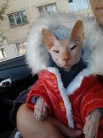 2012-09-23 09.51.34.jpg