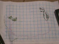 Изображение 2871.jpg