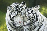 Close Companions-Gayford Michele Sayetta.jpg