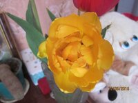 Изображение 2600.jpg