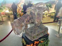 Изображение 018.jpg