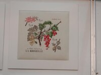 2015-10-22 14-00-16.jpg