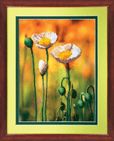 Чаривна Мить Б-583.gif