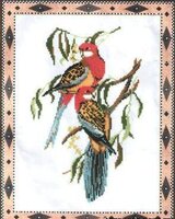 два попугая.jpg