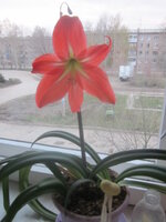 Изображение 32892.jpg