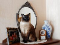 2016-01-22 11-09-22.jpg