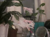 Изображение 290.jpg