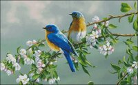 Flowers And Birds.jpg