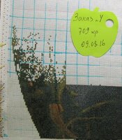 Изображение 352.jpg