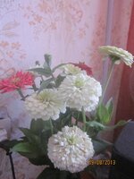 Изображение 337.jpg