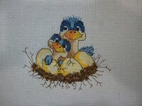 3. Птенцы в гнезде..jpg