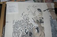 леопард 20.04.2014.jpg