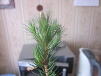 Изображение 480.jpg