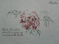 BeFunky_2013-11-22 1.jpg