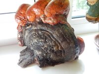 2016-06-08 10-46-12.jpg