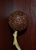 кофейное дерево 2.jpg