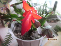 Изображение 32743.jpg