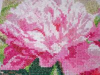 Изображение 287895.jpg