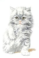 1.Пушистик. Оригинал..jpg