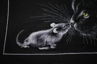 IMG_8382 (800x533).jpg